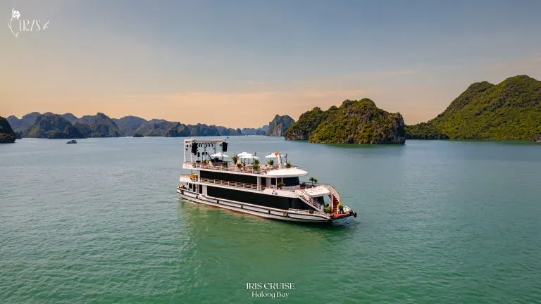 Ăn tối trên Du thuyền IRIS CRUISE HẠ LONG - hình 1