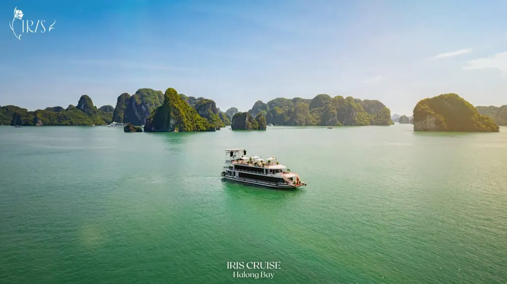 Ăn tối trên Du thuyền IRIS CRUISE HẠ LONG - ảnh chi tiết 2