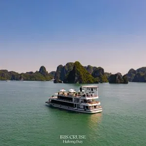 Ăn tối trên Du thuyền IRIS CRUISE HẠ LONG - ảnh chi tiết 8