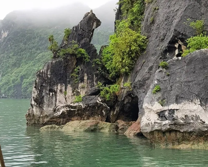 Hòn Chó Đá